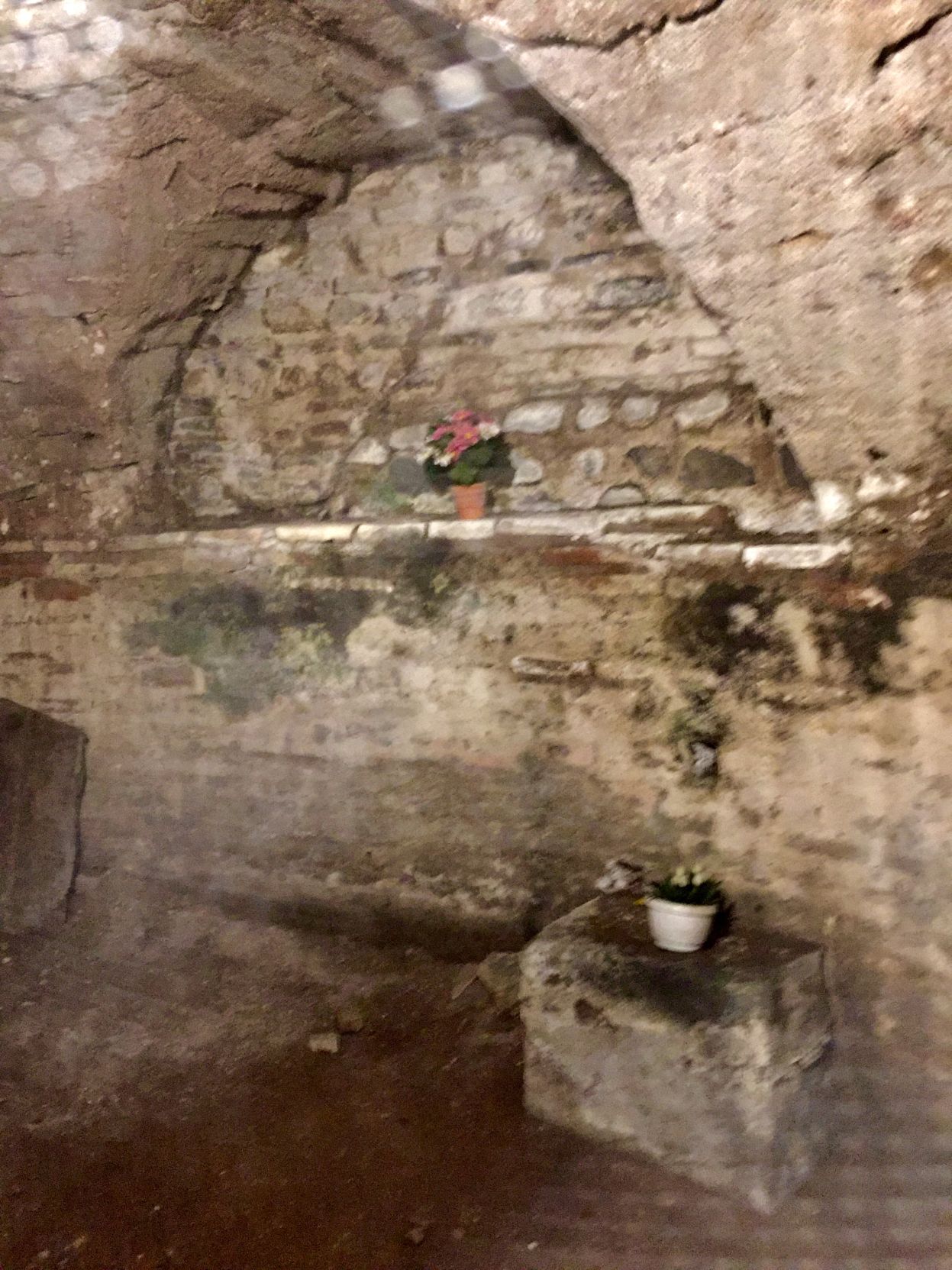 Paul's Cell Photo 3